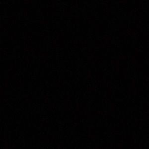 Meet your Posher, Irma